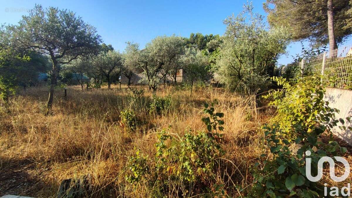 Photo 4 - Terrain à SORGUES