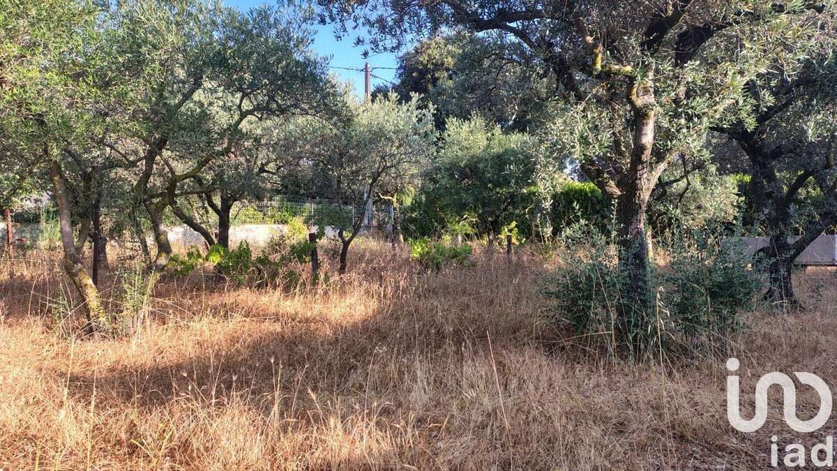 Photo 5 - Terrain à SORGUES