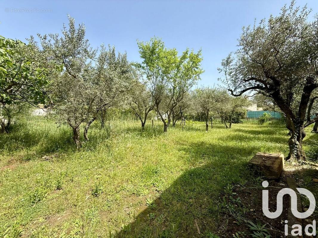 Photo 1 - Terrain à SORGUES