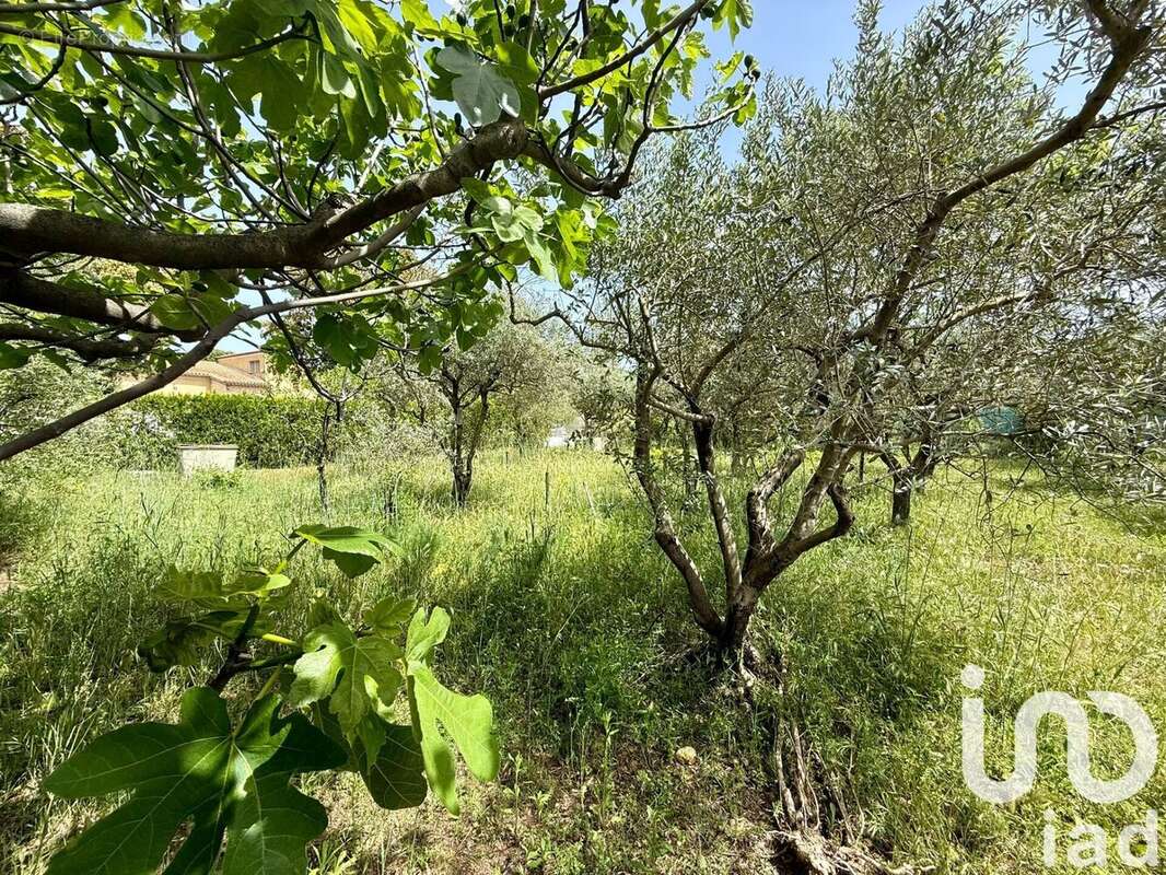 Photo 2 - Terrain à SORGUES