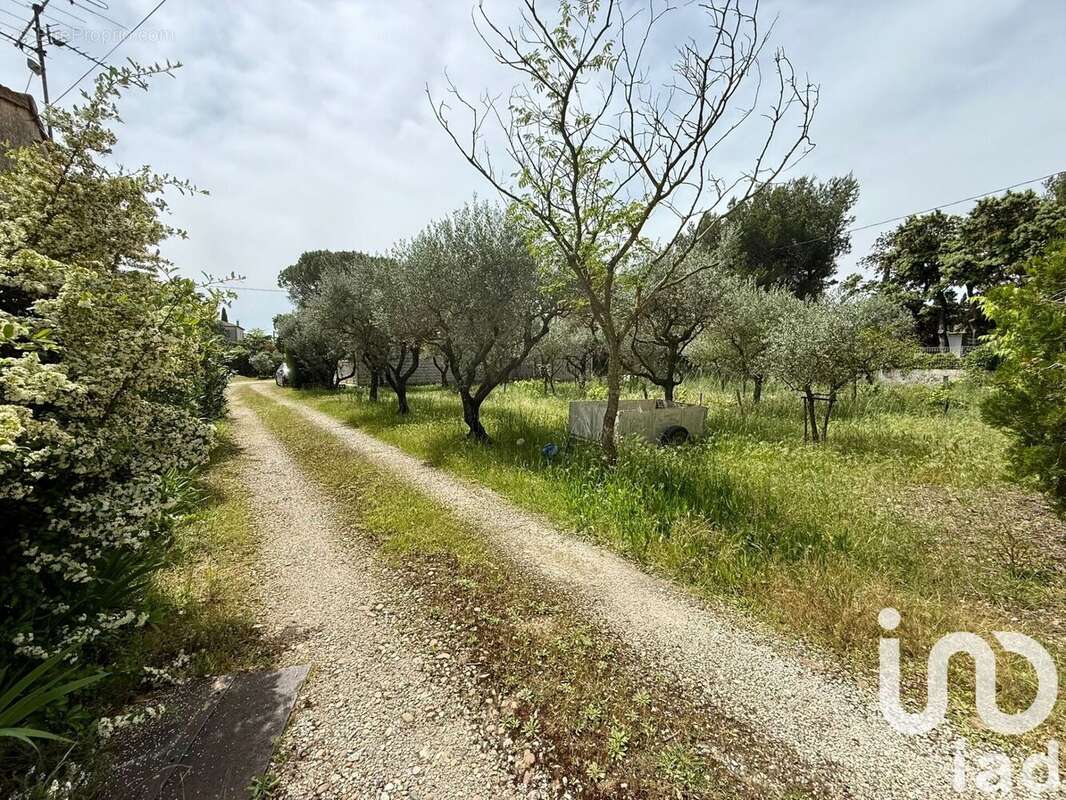 Photo 3 - Terrain à SORGUES