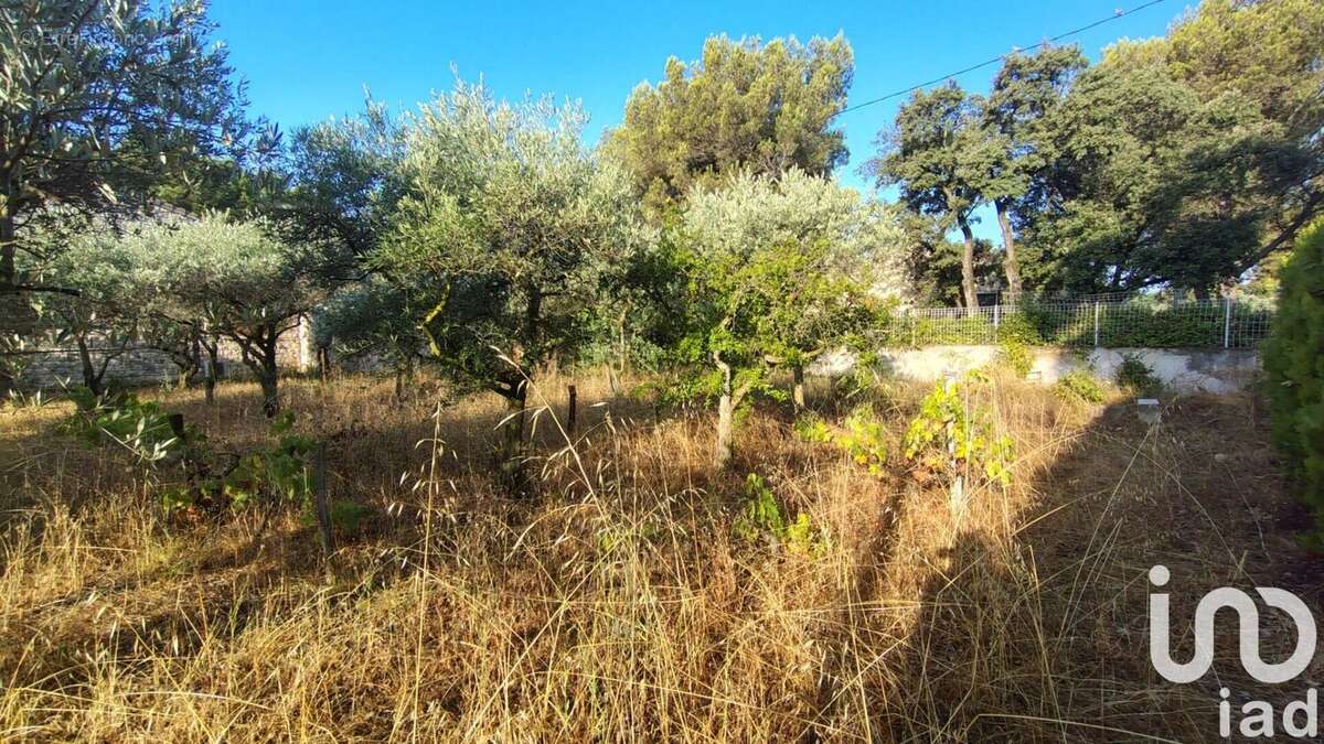 Photo 5 - Terrain à SORGUES