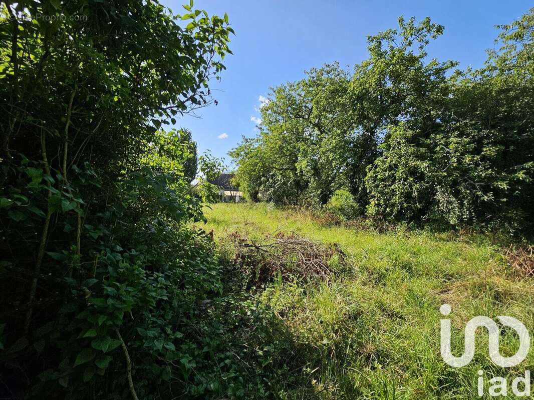 Photo 3 - Terrain à LONGCHAMP