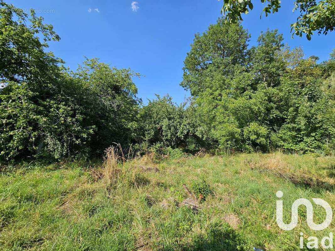 Photo 4 - Terrain à LONGCHAMP