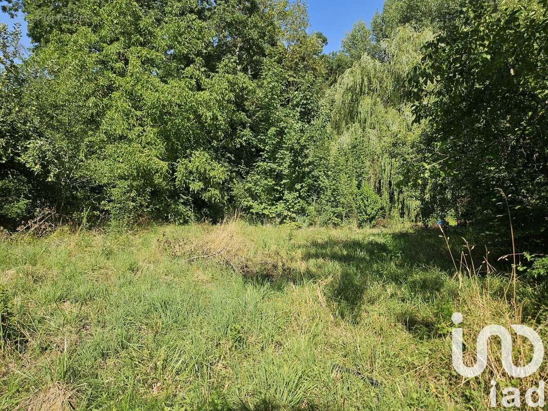 Photo 2 - Terrain à LONGCHAMP