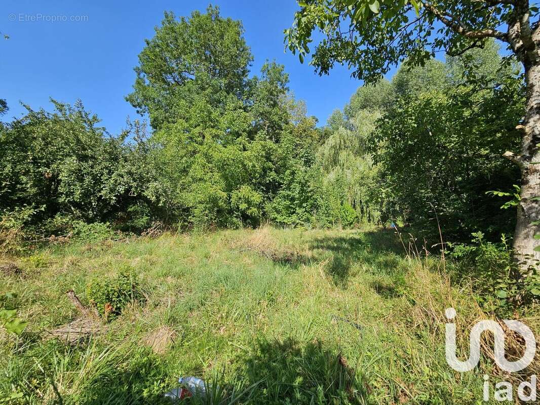 Photo 3 - Terrain à LONGCHAMP