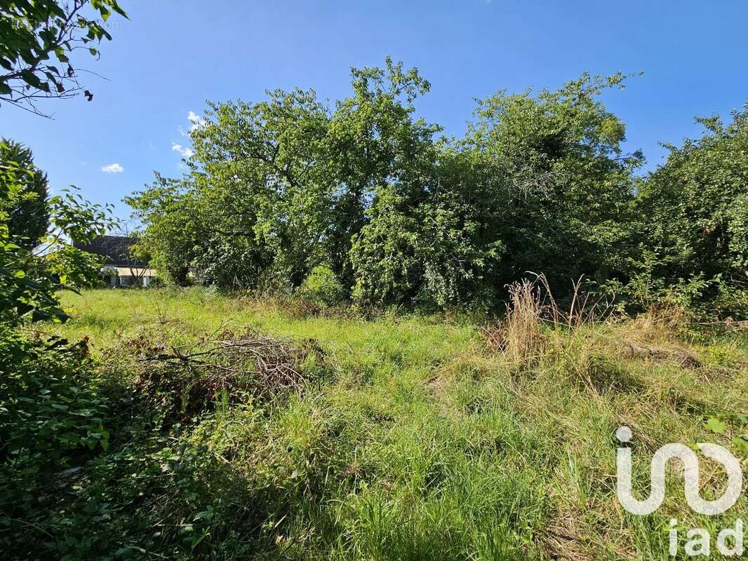 Photo 4 - Terrain à LONGCHAMP