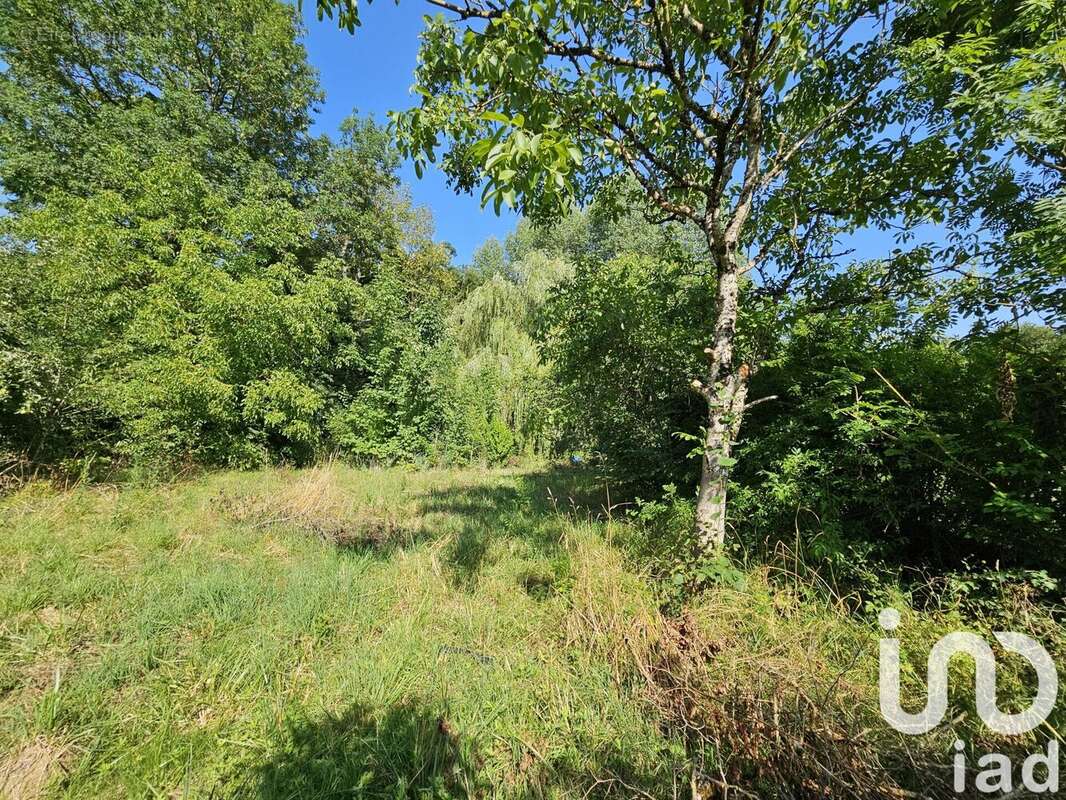 Photo 5 - Terrain à LONGCHAMP