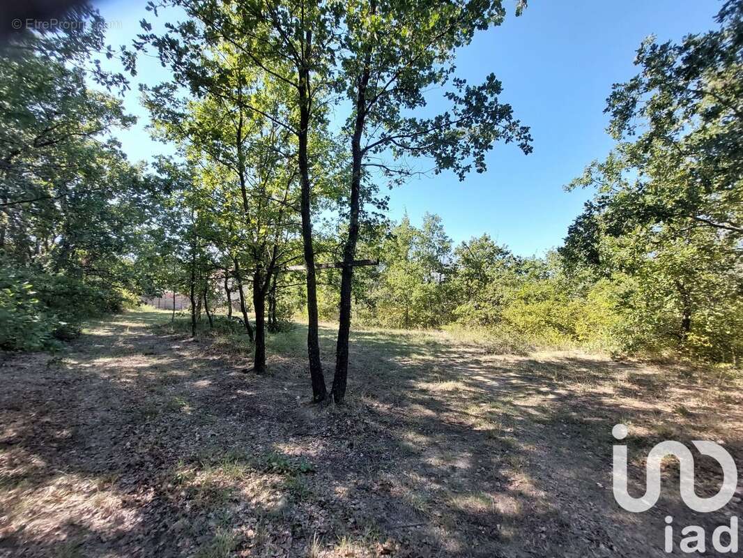 Photo 2 - Terrain à AUBIGNAN