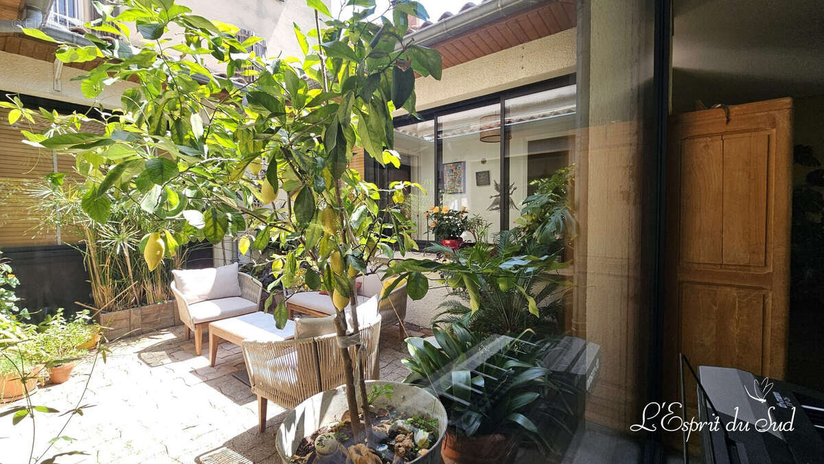 Le patio - Maison à GRAULHET