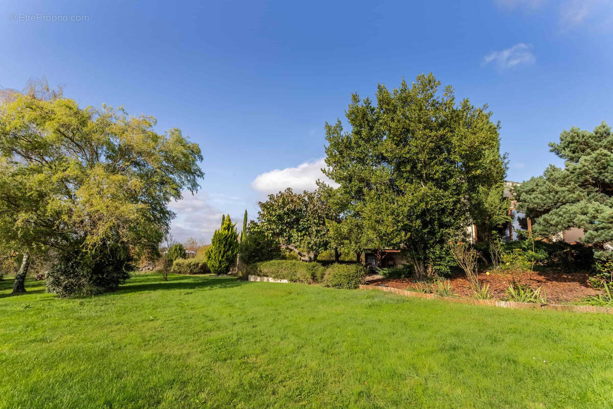 Maison à MONTASTRUC