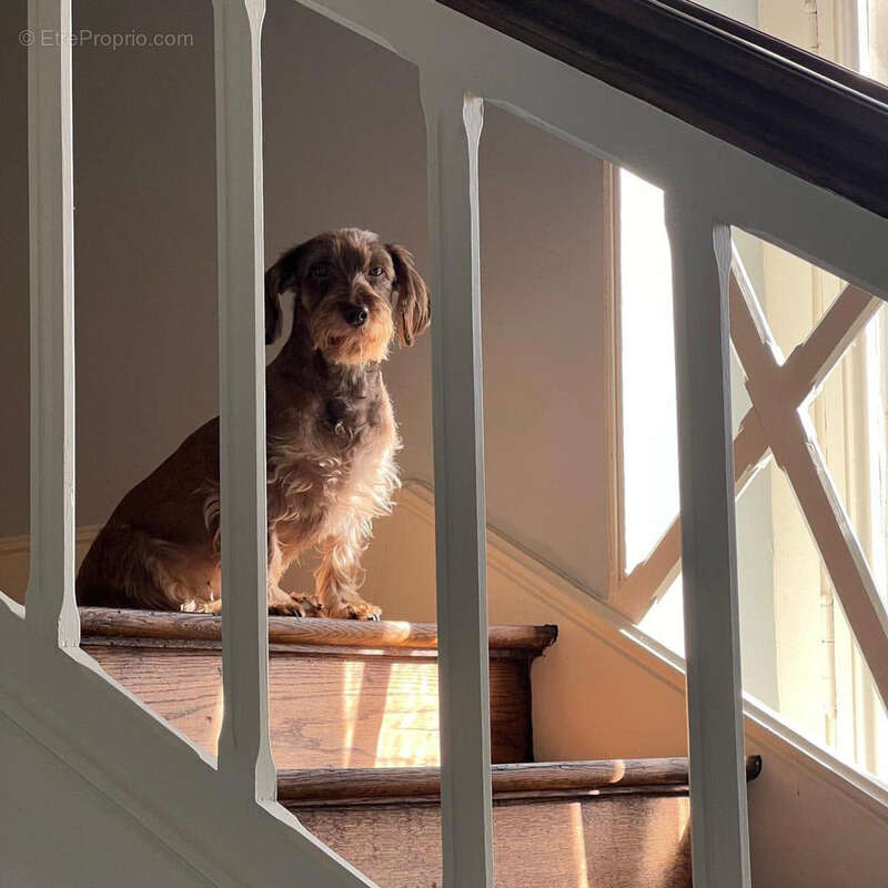 Maison à TOURNON-D&#039;AGENAIS