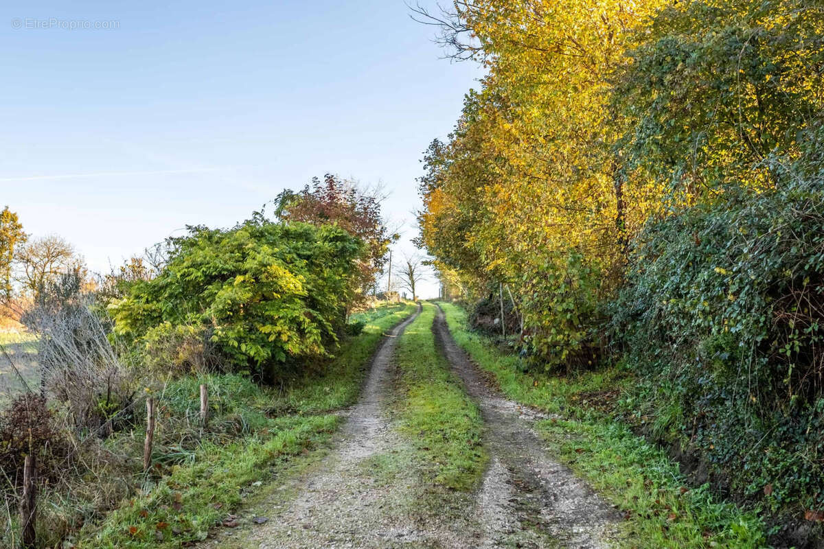 Maison à CASTELSAGRAT