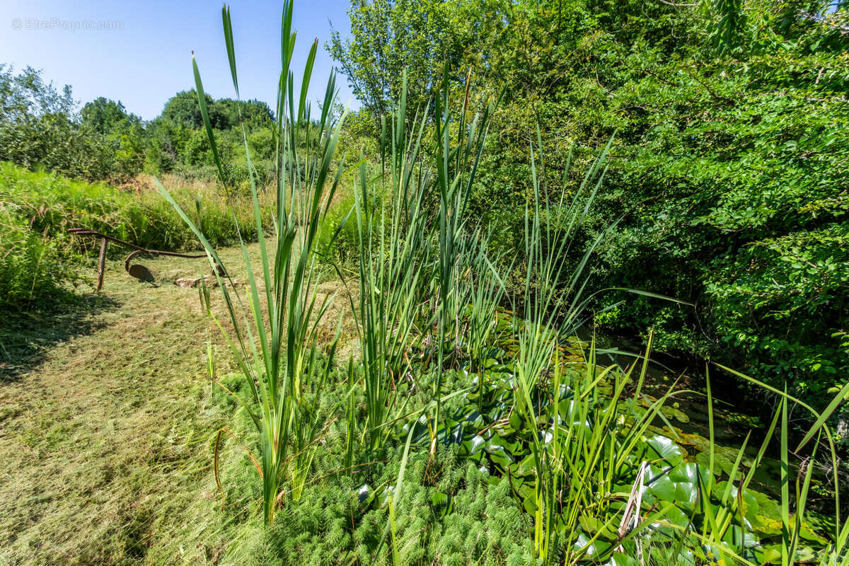 Maison à CASTELSAGRAT
