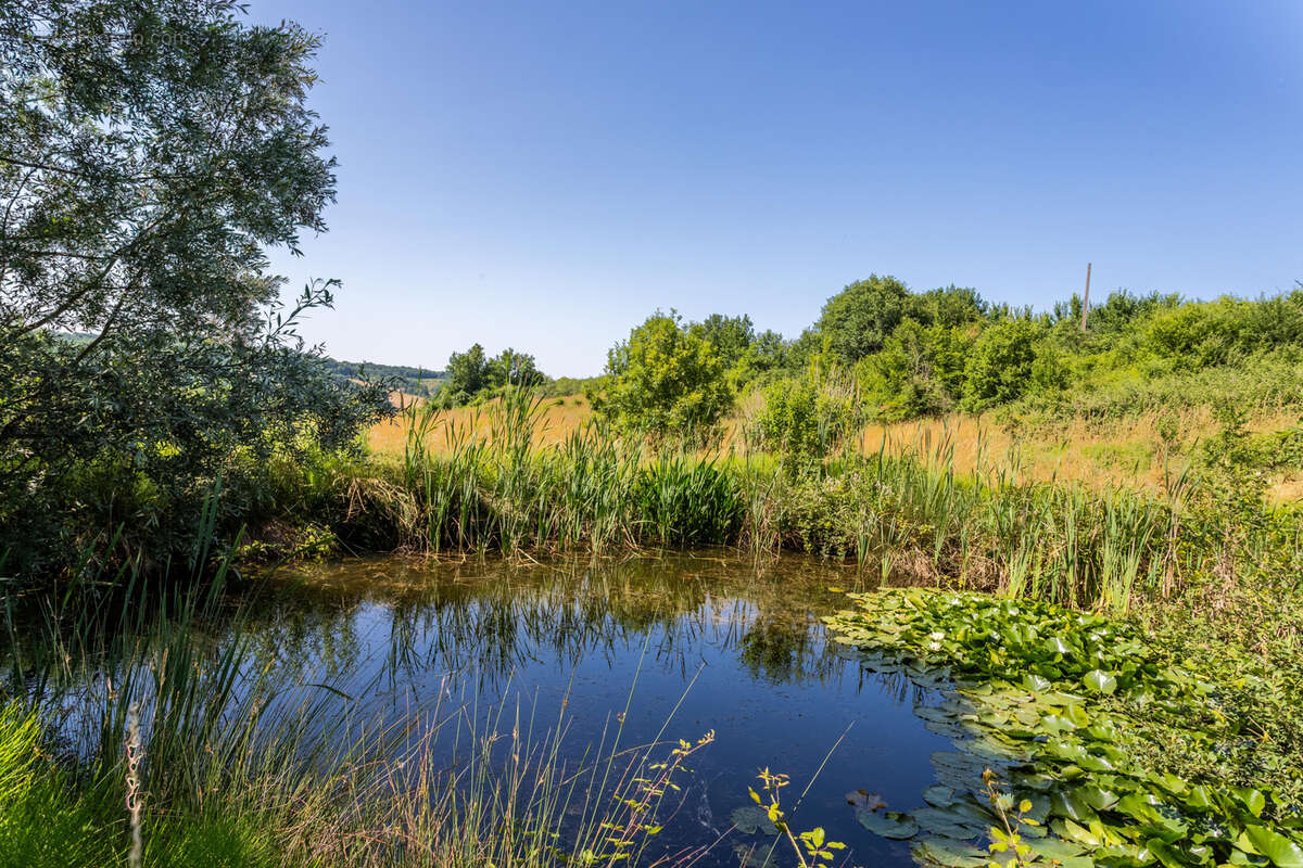 Maison à CASTELSAGRAT