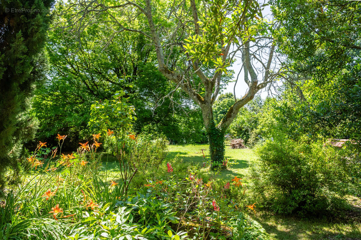 Maison à BOURG-DE-VISA