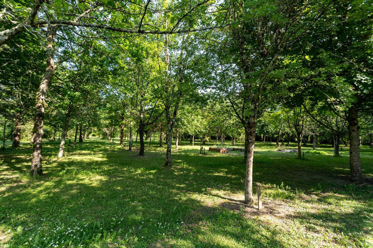 Maison à SAINT-NICOLAS-DE-LA-GRAVE