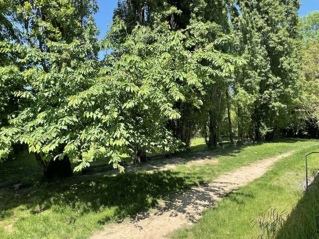 Maison à SAINT-HILLIERS