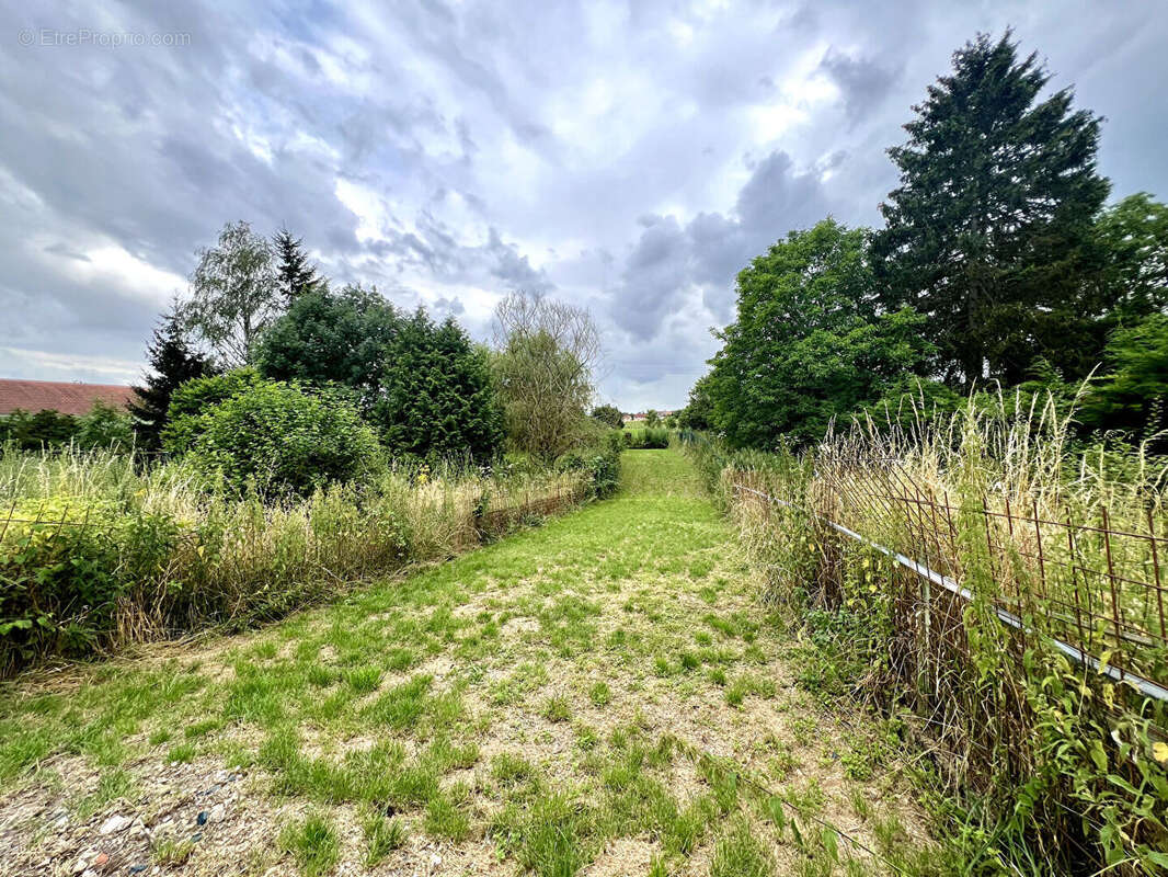 Maison à FREISTROFF