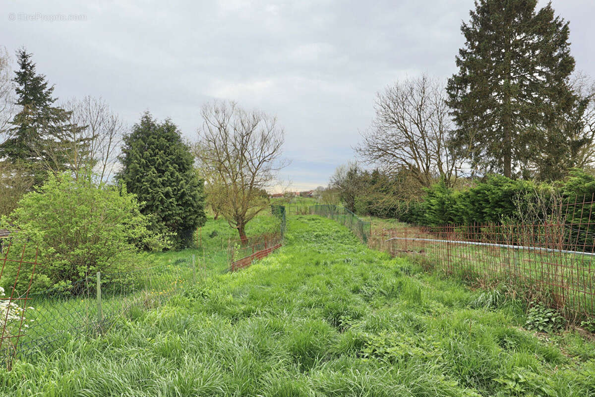 Maison à FREISTROFF