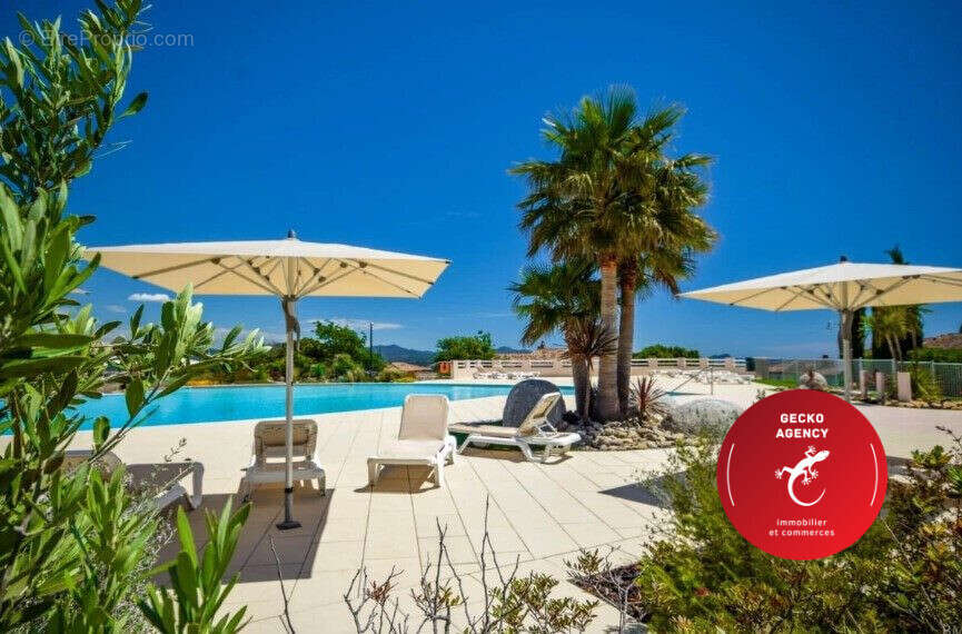 Piscine du domaine - Maison à ROQUEBRUNE-SUR-ARGENS