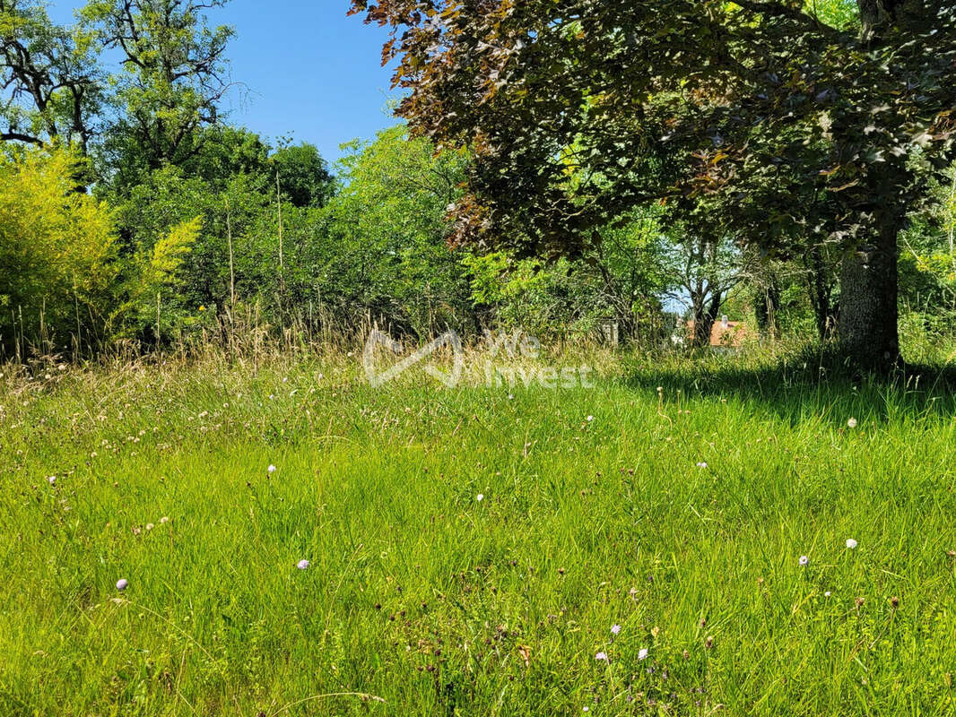 Terrain à MONTEVRAIN