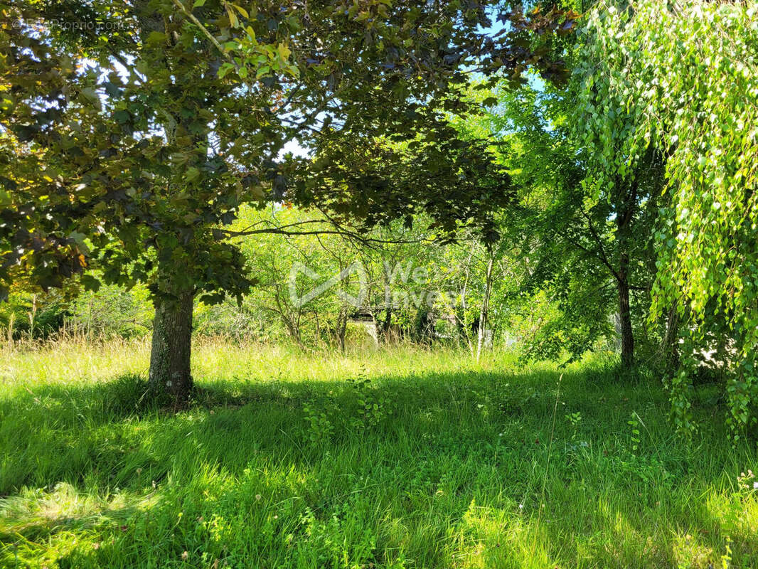 Terrain à MONTEVRAIN