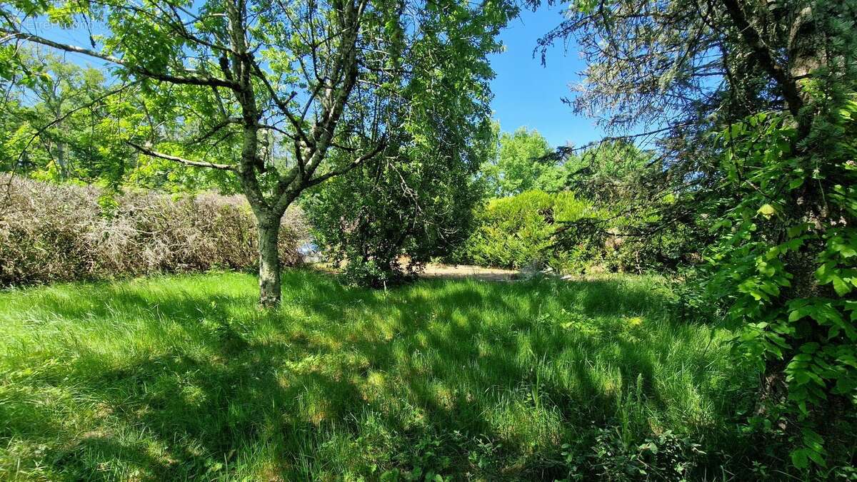 Terrain à BALLAN-MIRE