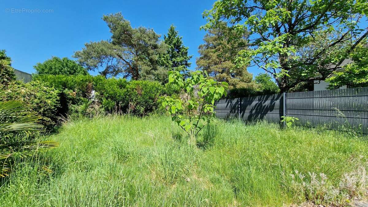 Terrain à BALLAN-MIRE