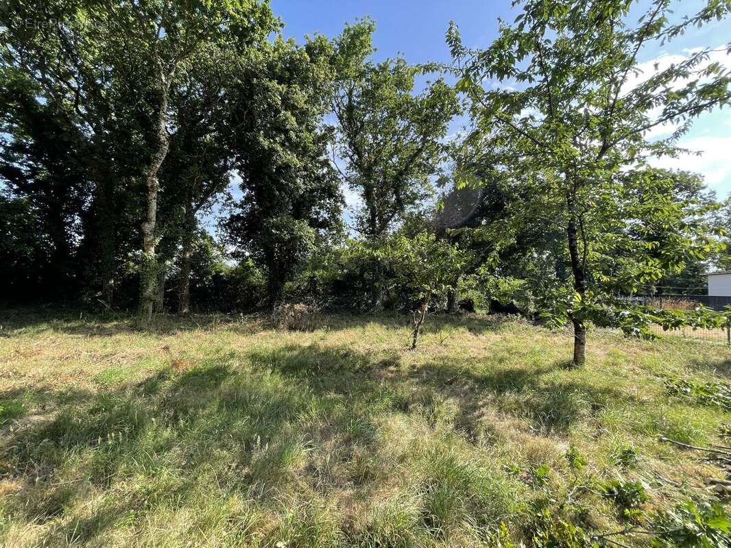 Terrain à SARZEAU