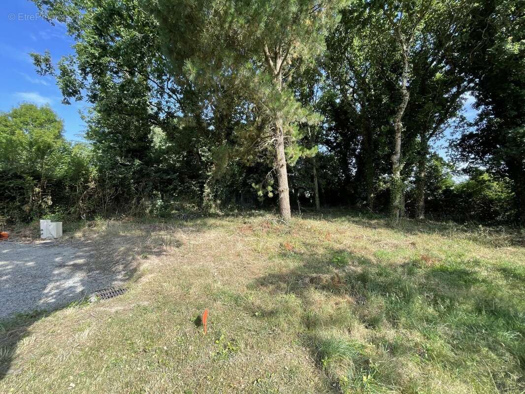 Terrain à SARZEAU
