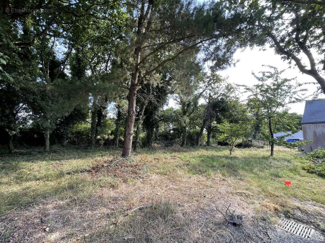 Terrain à SARZEAU