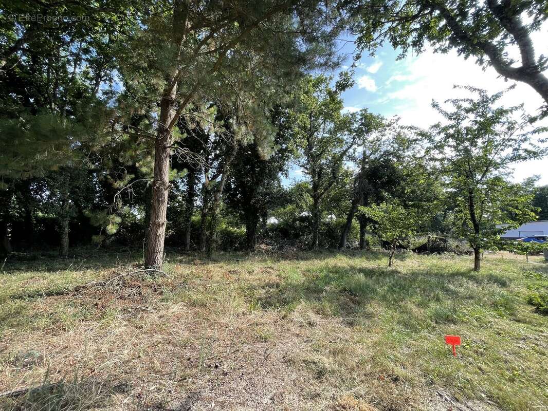 Terrain à SARZEAU