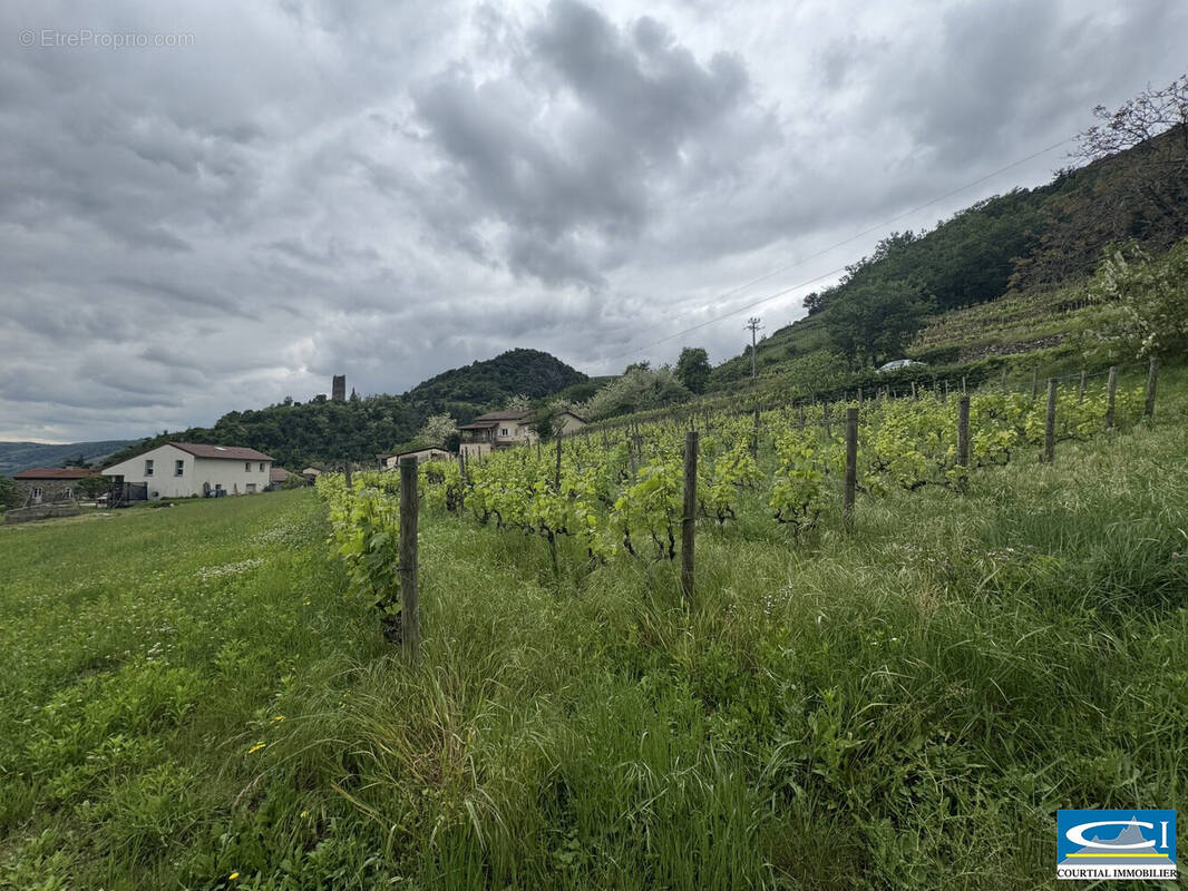 Terrain à ARRAS-SUR-RHONE
