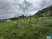 Terrain à ARRAS-SUR-RHONE