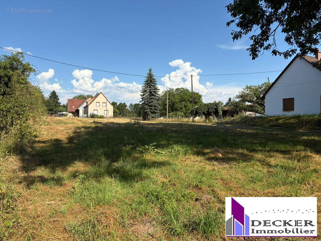 Terrain à WEITERSWILLER