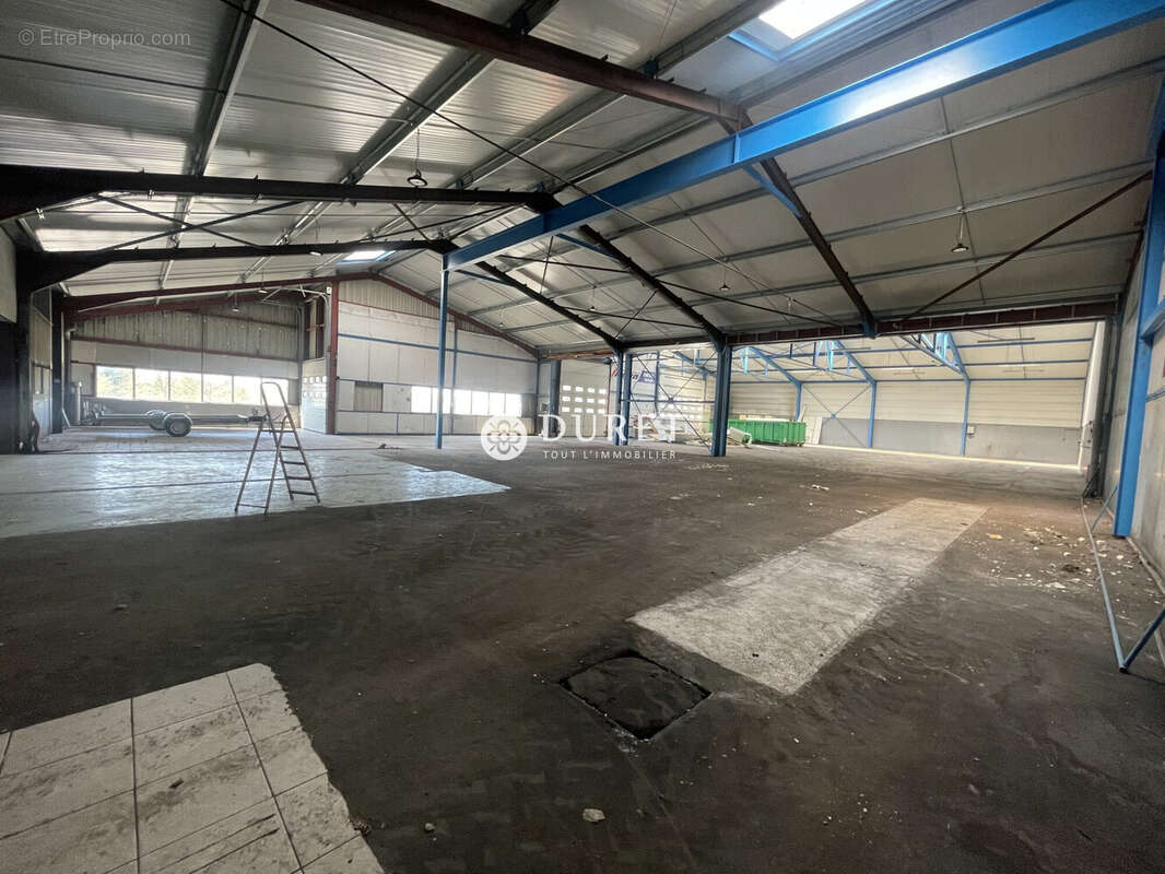 Commerce à FONTENAY-LE-COMTE