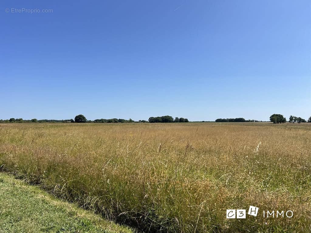 Terrain à CAMBERNARD