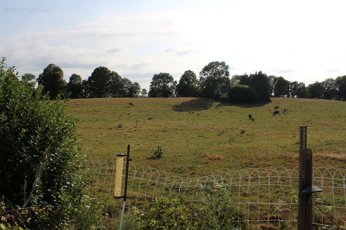 Maison à ANGLARDS-DE-SALERS