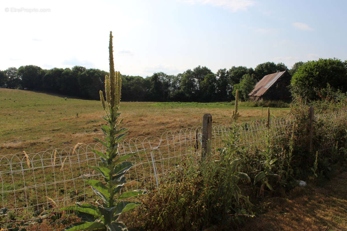 Maison à ANGLARDS-DE-SALERS
