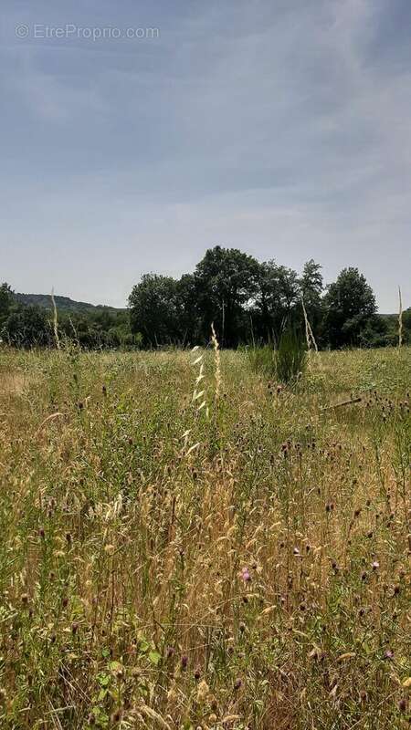 3950 m2 - Terrain à SIORAC-EN-PERIGORD