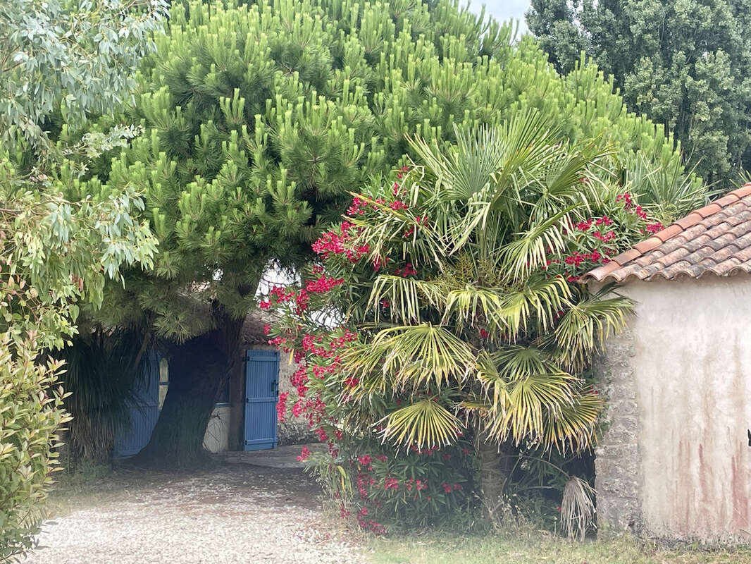 Maison à LE GRAND-VILLAGE-PLAGE