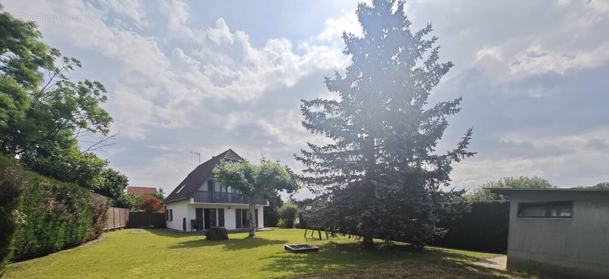 Maison à MICHELBACH-LE-BAS