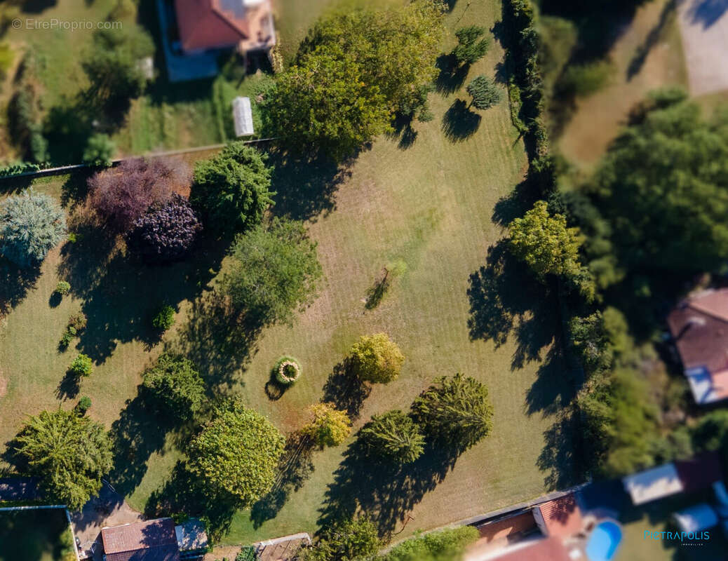 Terrain à CHONAS-L'AMBALLAN