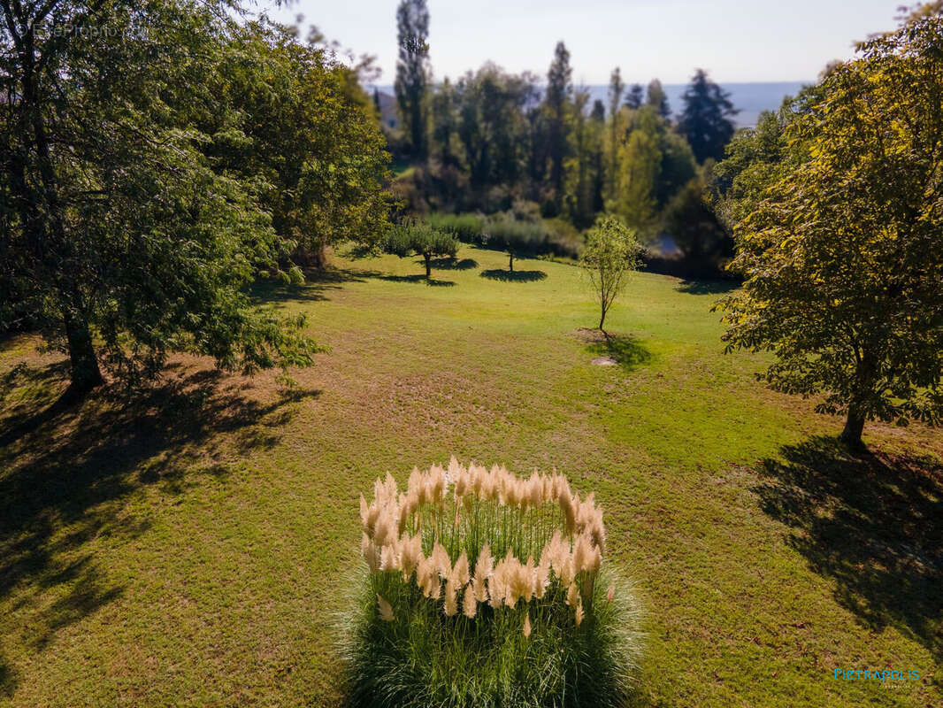 Terrain à CHONAS-L'AMBALLAN