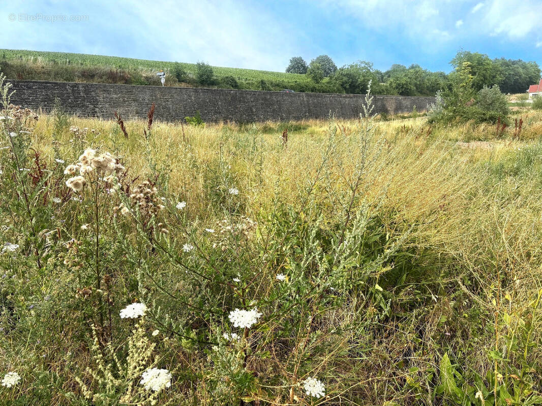 Terrain à KUTTOLSHEIM
