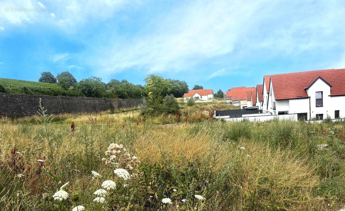Terrain à KUTTOLSHEIM