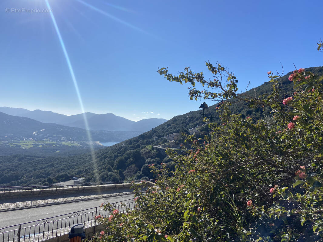 Appartement à OLMETO