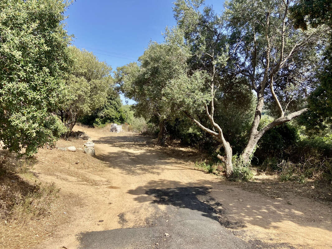 Maison à MONACIA-D&#039;AULLENE