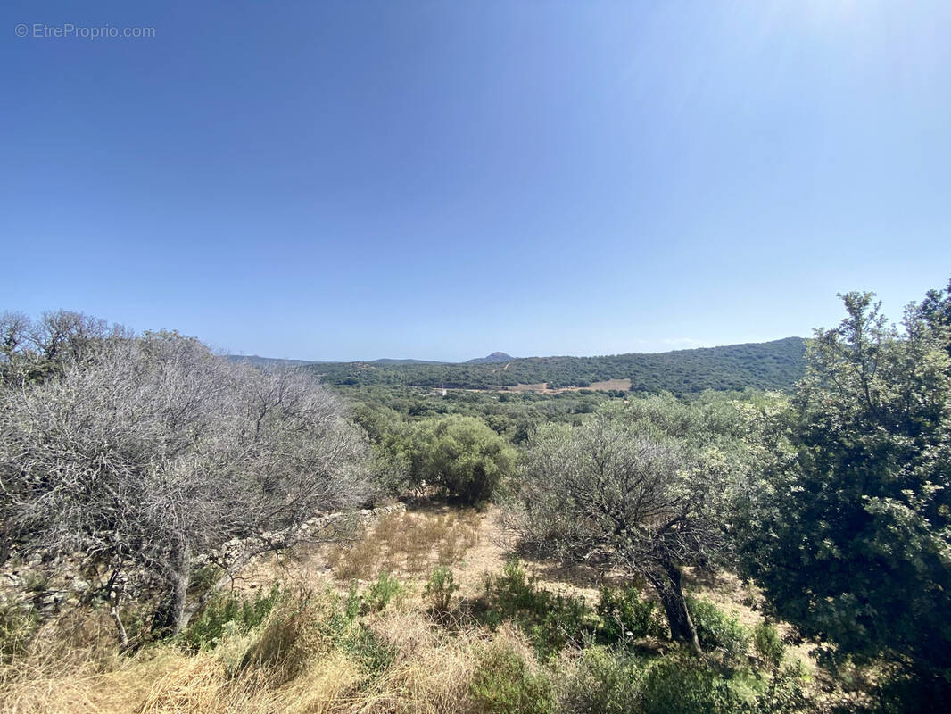 Maison à MONACIA-D&#039;AULLENE